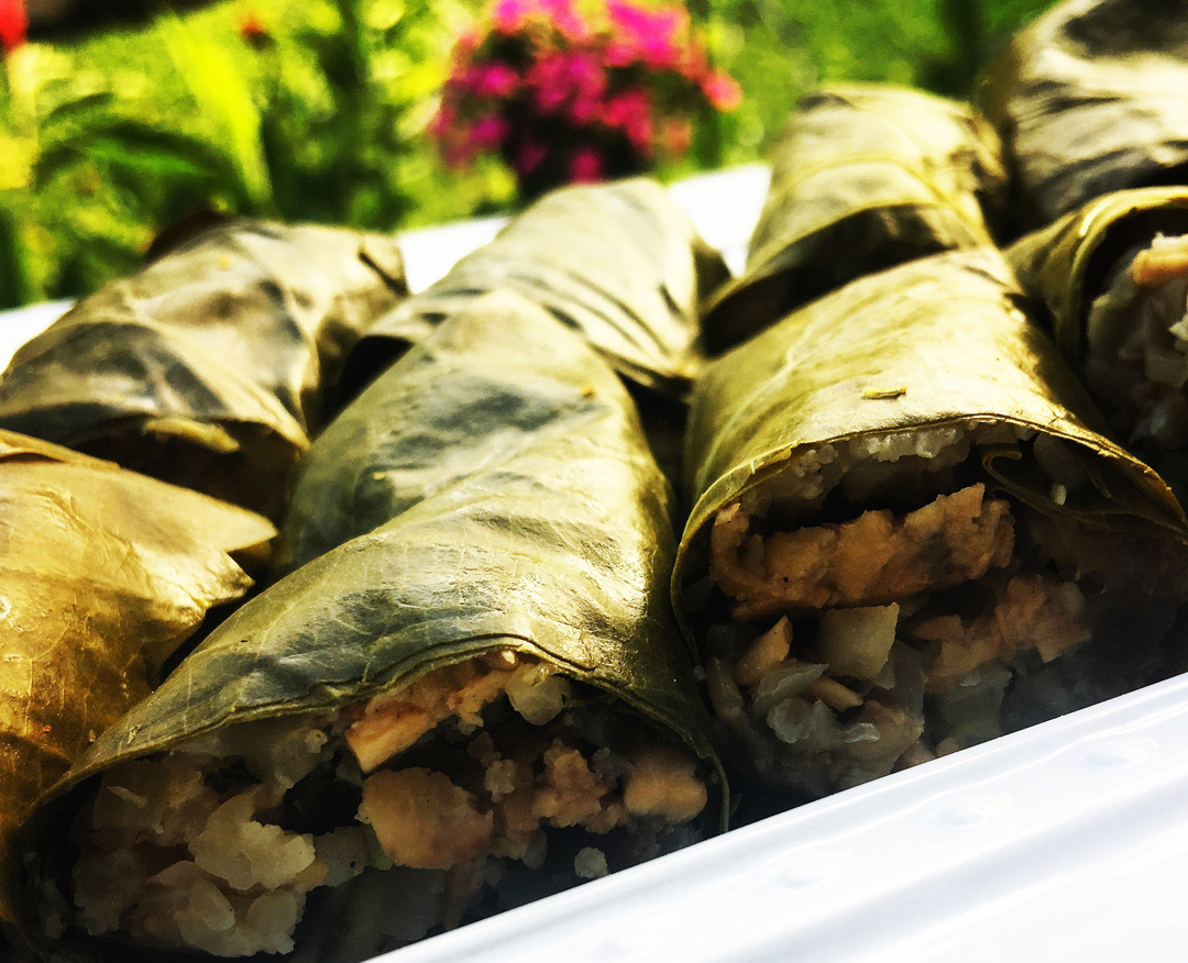 Tempeh-Stuffed-grape-leaves-main-photo