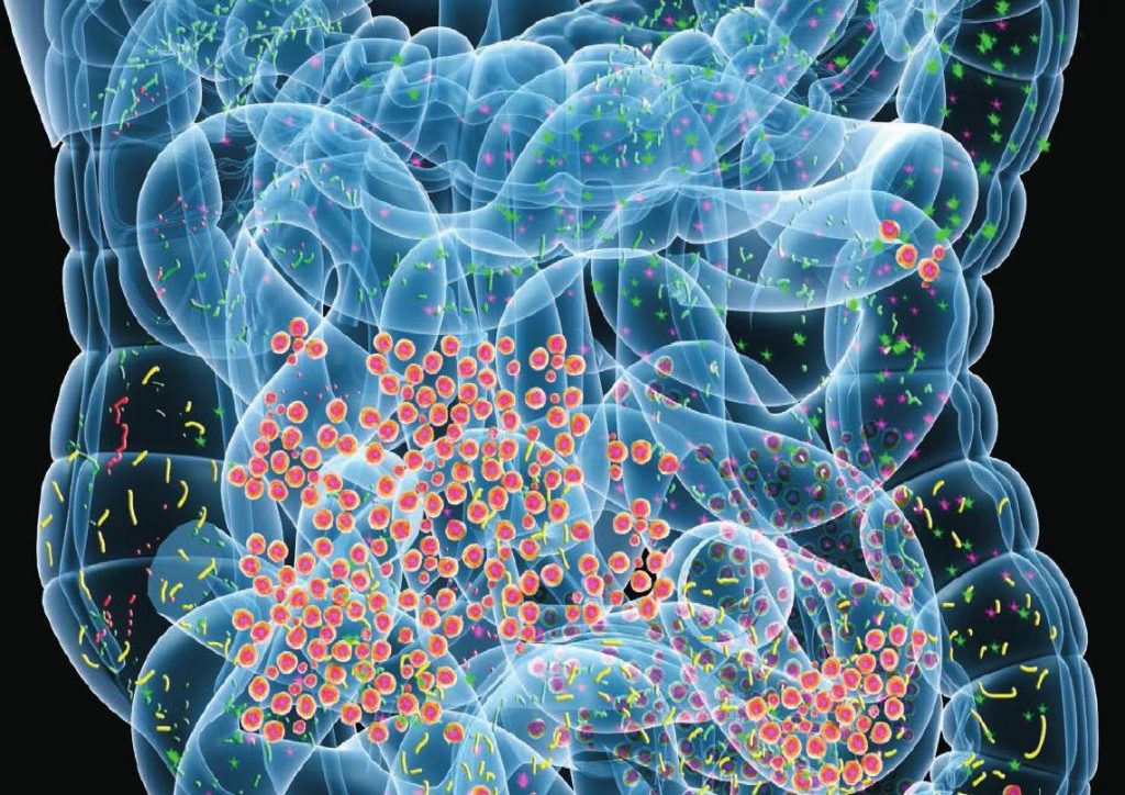 MICROBIOME TESTING